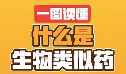 2024澳门原料网站