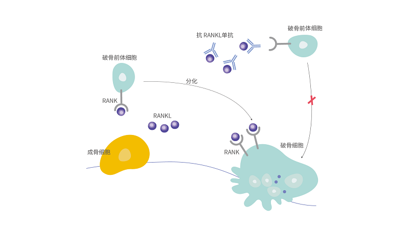 2024澳门原料网站