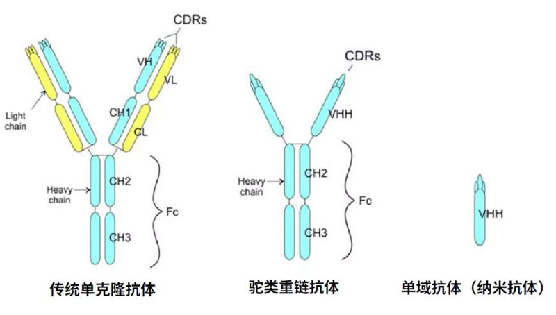 2024澳门原料网站