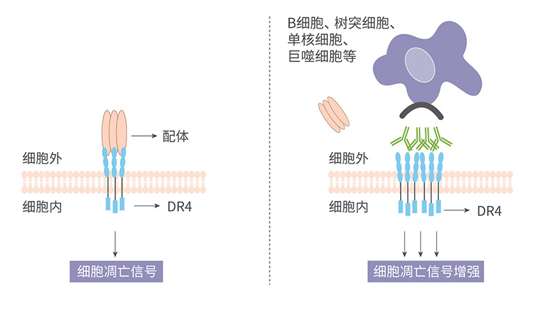 2024澳门原料网站