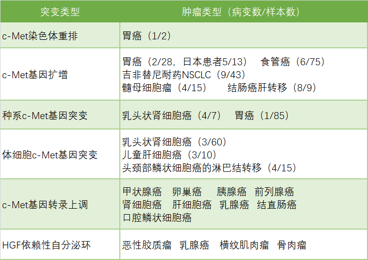 2024澳门原料网站