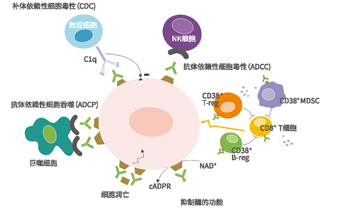 2024澳门原料网站