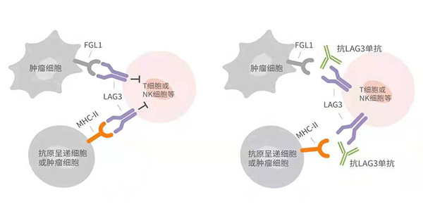 2024澳门原料网站