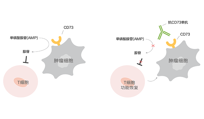 2024澳门原料网站