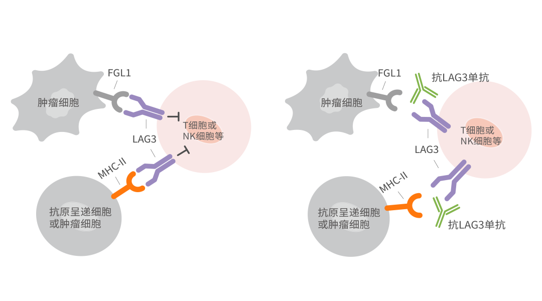 2024澳门原料网站