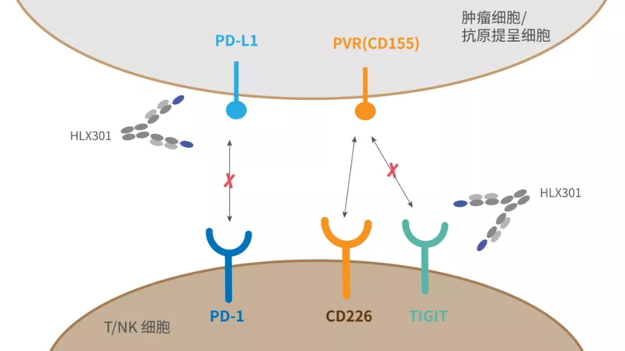 2024澳门原料网站