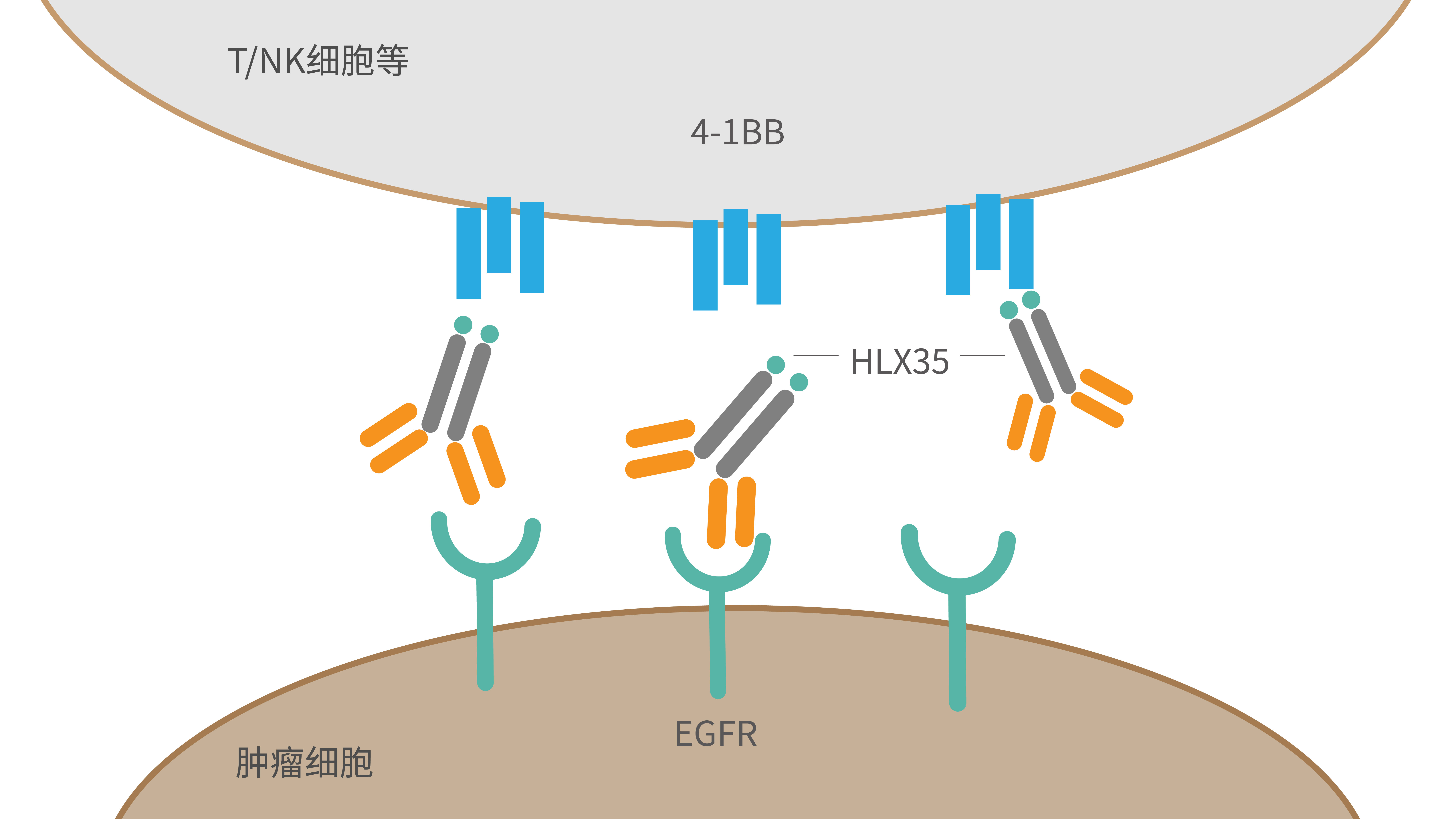 2024澳门原料网站