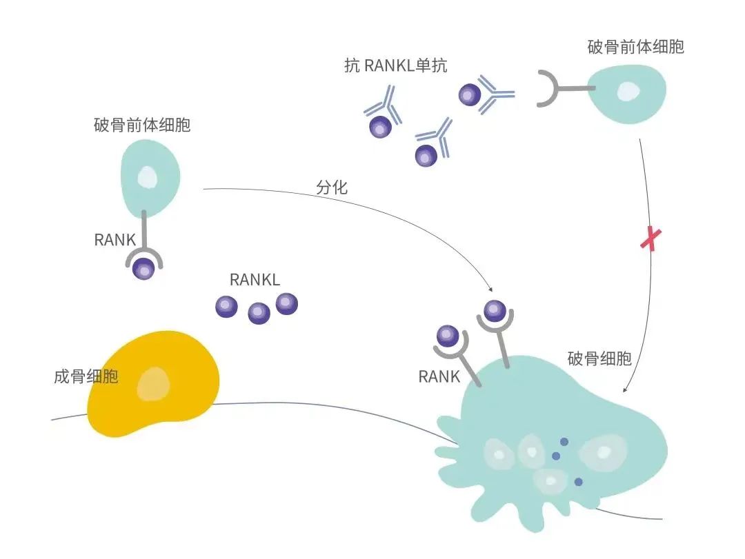 2024澳门原料网站