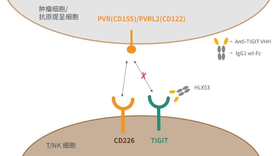 2024澳门原料网站