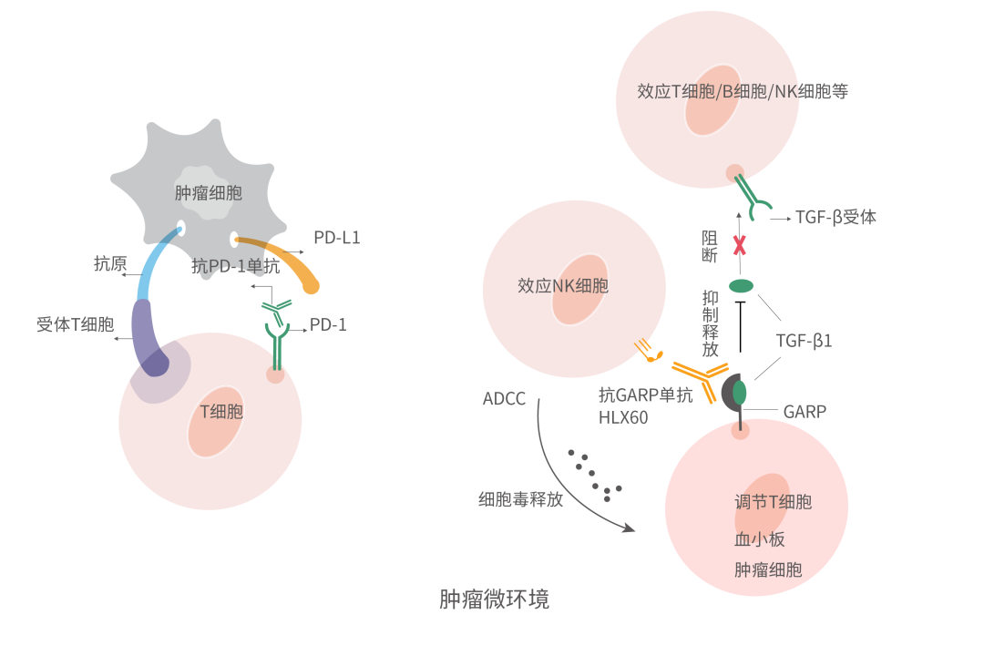 2024澳门原料网站