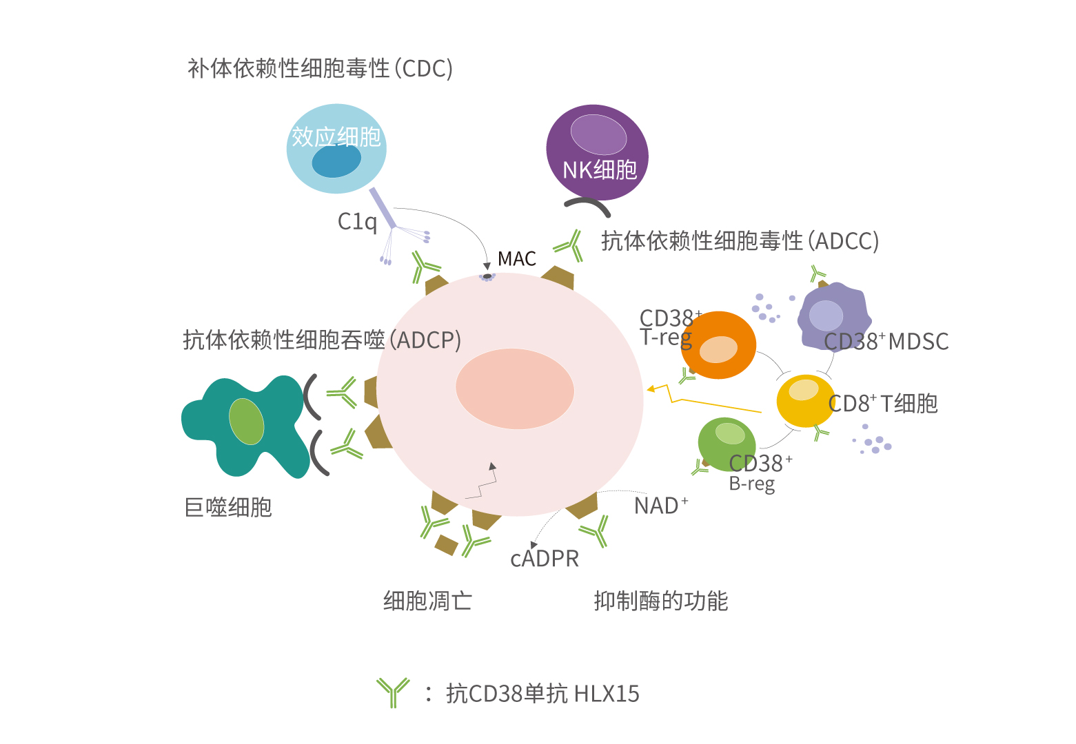 2024澳门原料网站