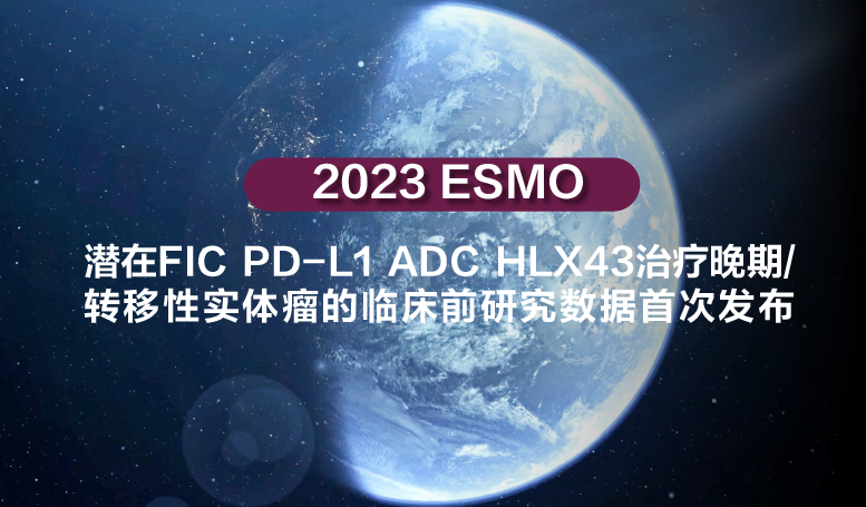 2024澳门原料网站