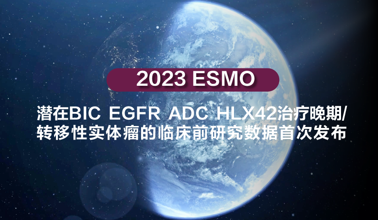 2024澳门原料网站