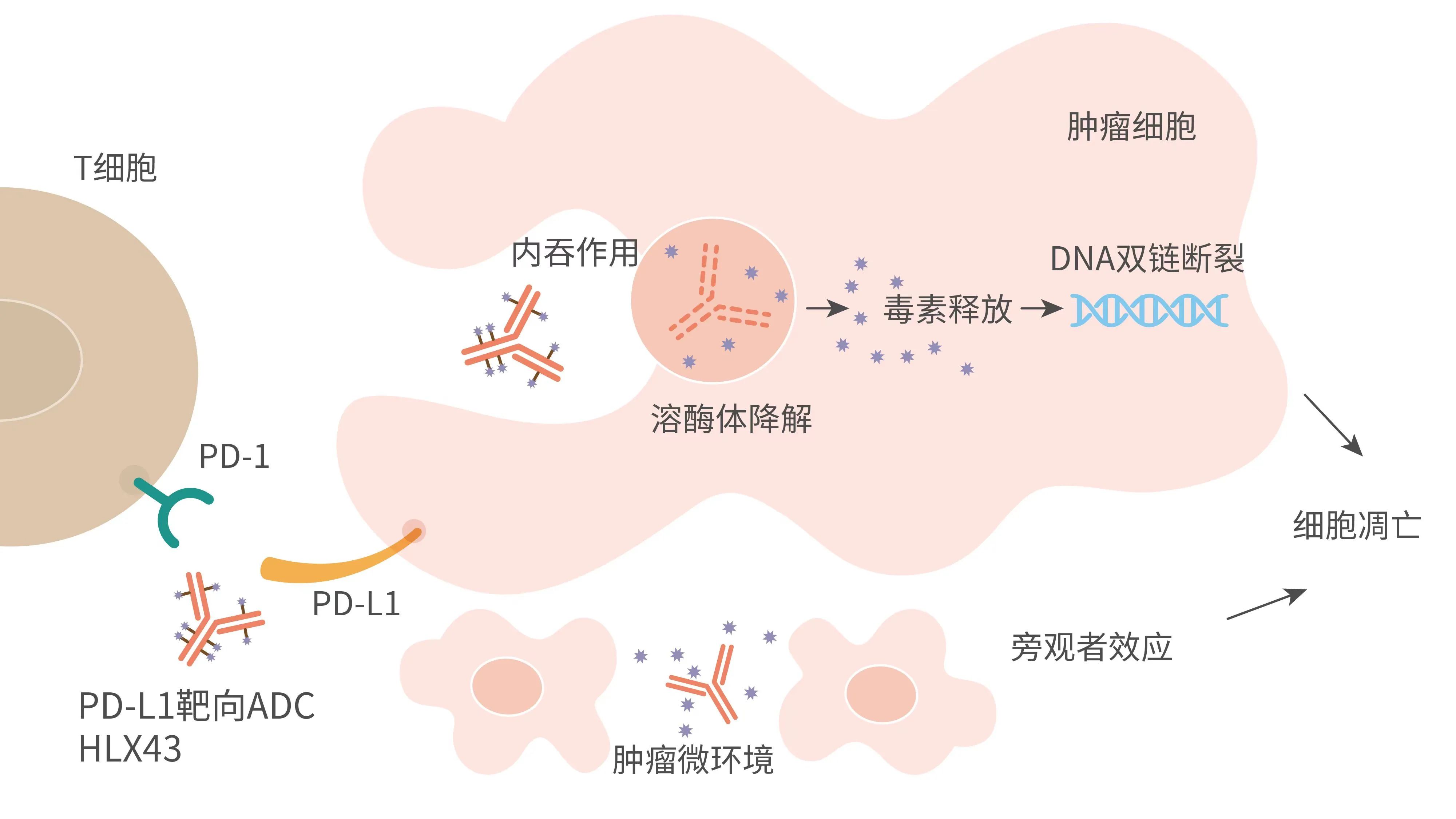 2024澳门原料网站