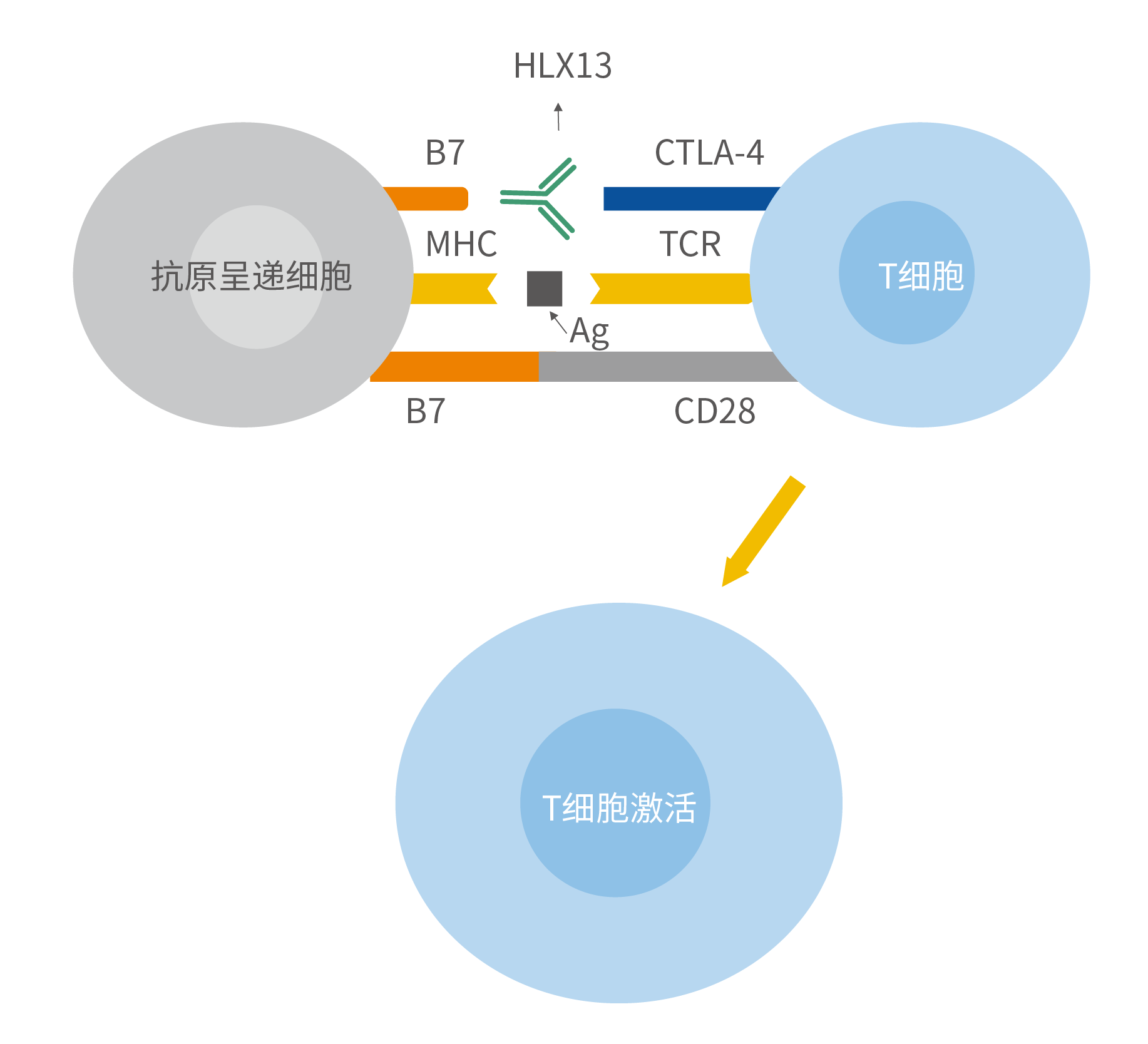 2024澳门原料网站