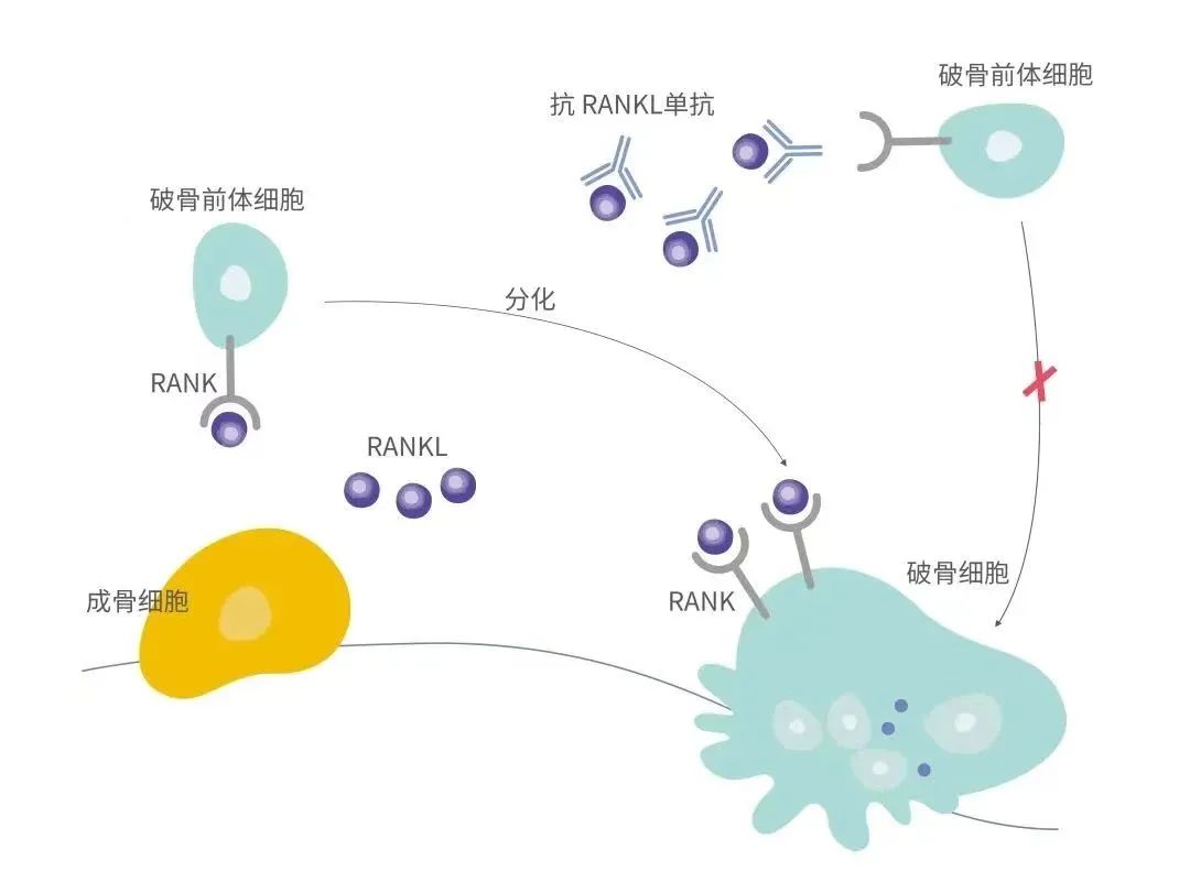 2024澳门原料网站