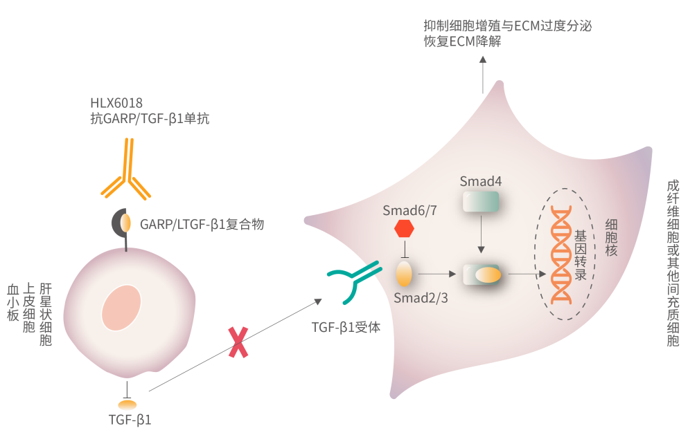 2024澳门原料网站