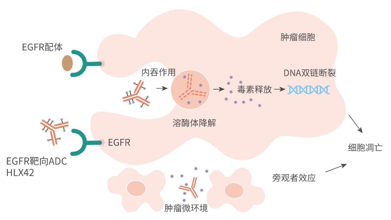 2024澳门原料网站