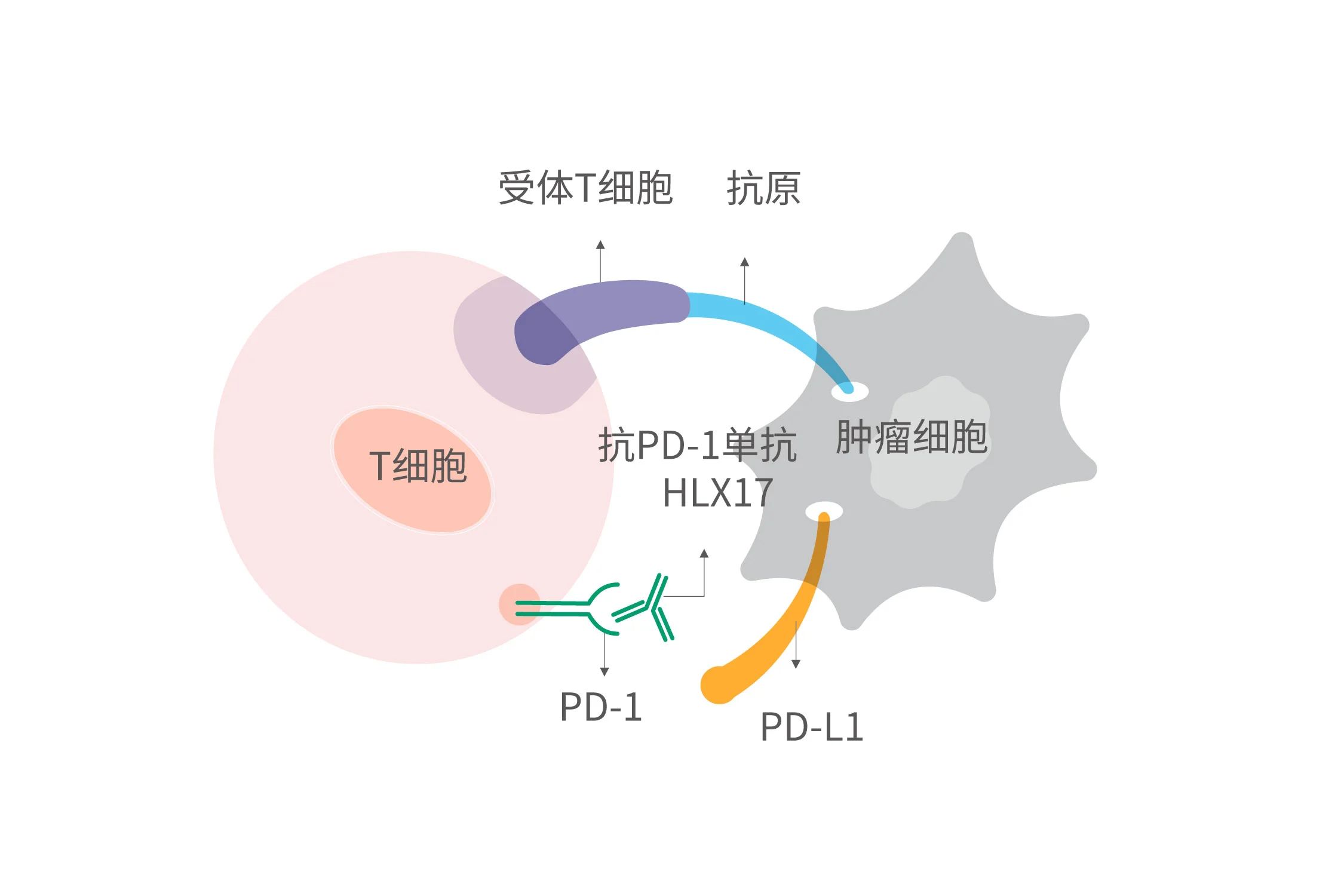 2024澳门原料网站