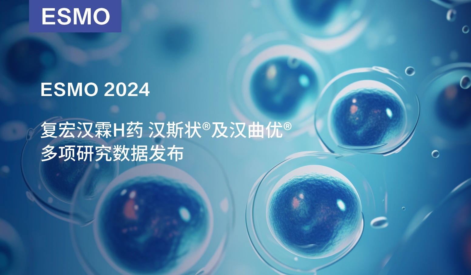 2024澳门原料网站